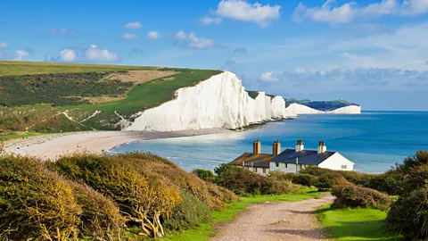 Alamy Sussex's unique chalky soil holds water and is well suited for winemaking (Credit: Alamy)