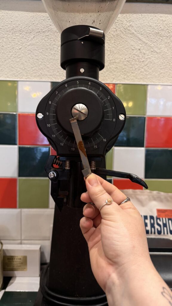 This fell out of our EK. Should we be concerned?