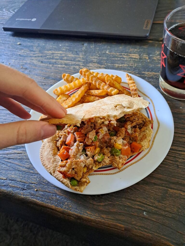 How many calories you estimate? It's pita with ground chicken + vegetables and light on the sauce (garlic sauce), Also a handful of fries 🍟 😋