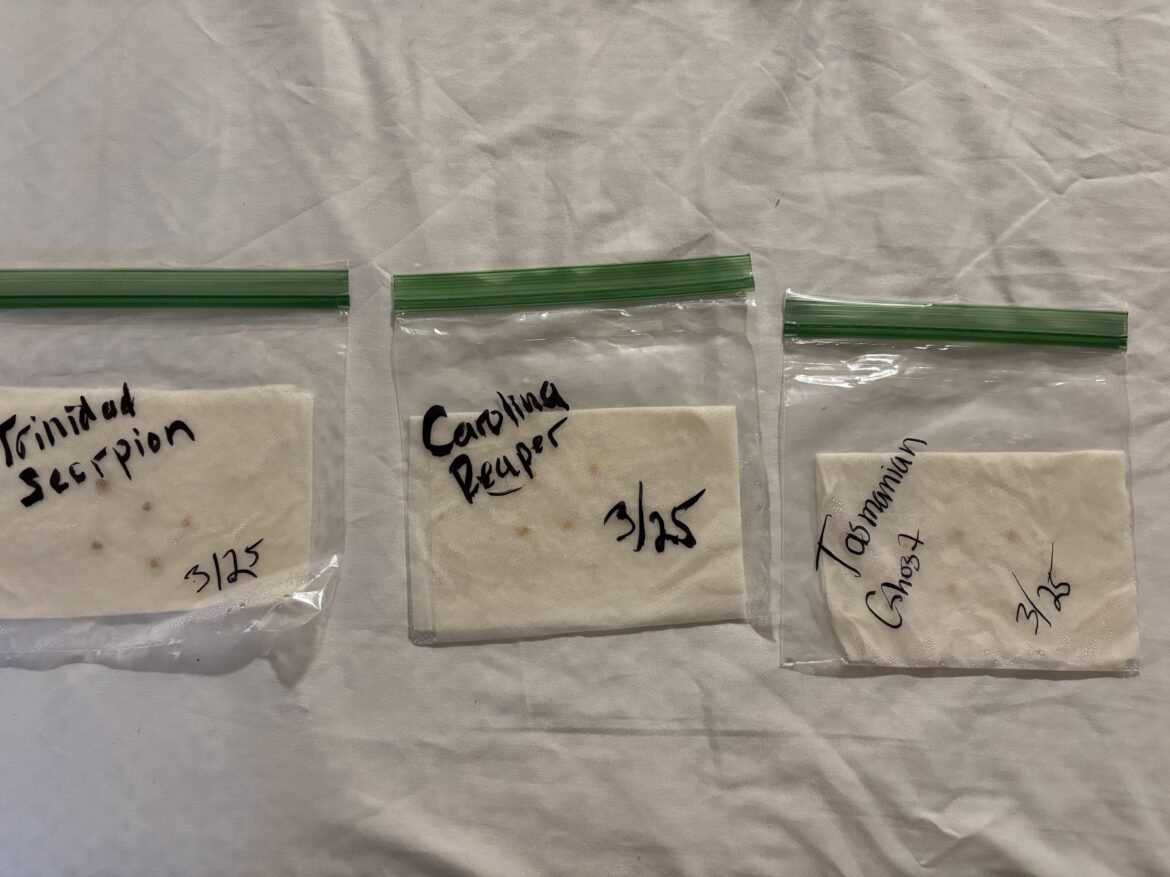 Am I doing something wrong?