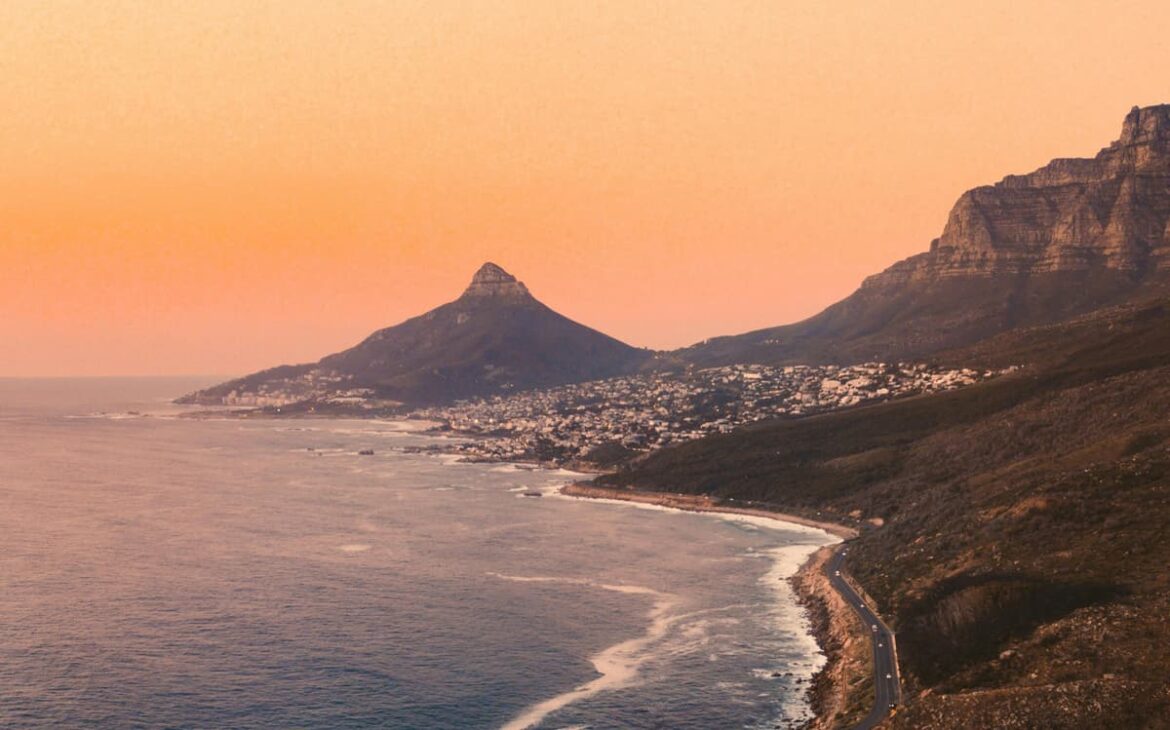 Best South African wines in 2024: Red, white and rosé