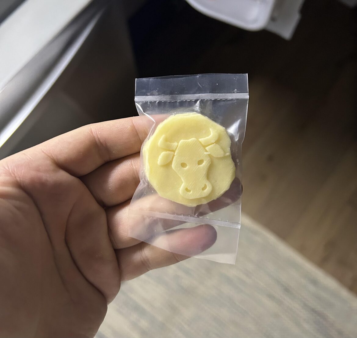 Made a high-protein, low-fat cheddar in a coin shape—would love some feedback 🧀