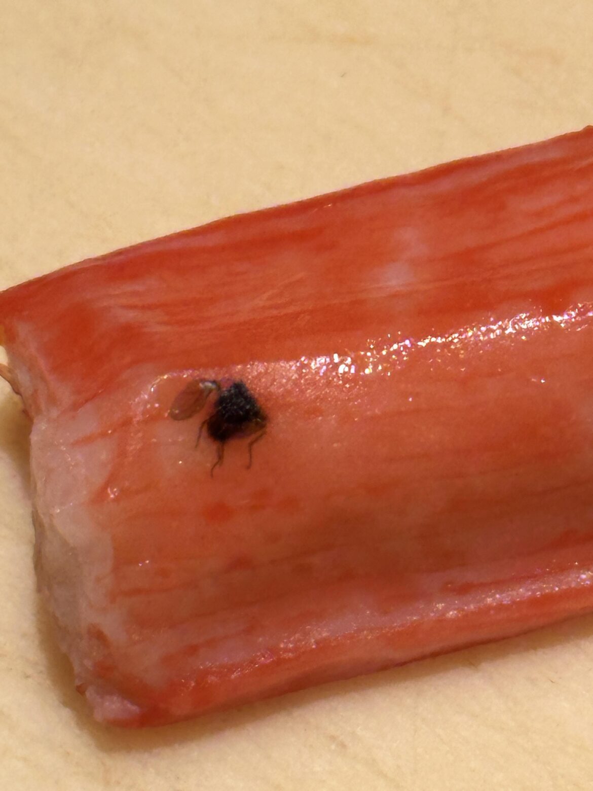 Was opening kani sticks today and had to lean in closer to examine this odd speck…