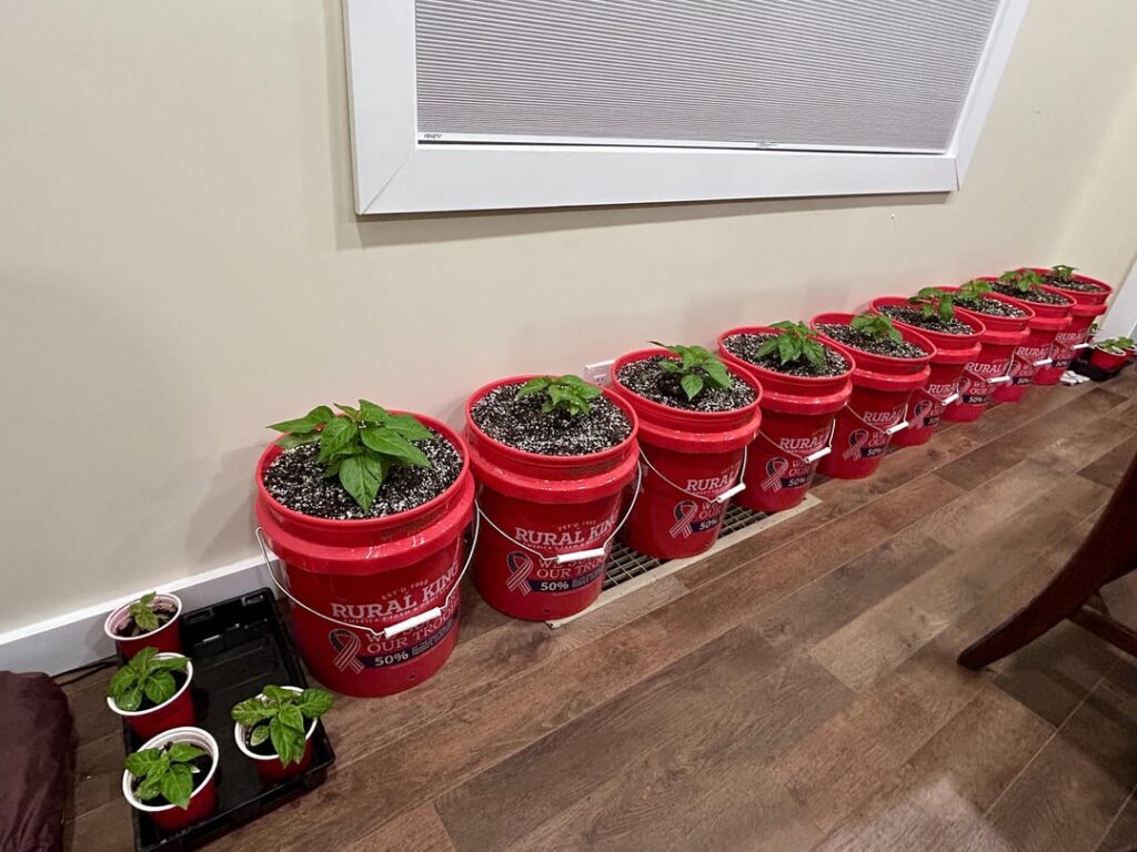 Bucket time Bucket time