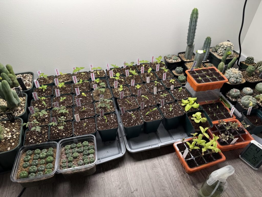 How are we lookin boys? Any fertilizer tips?