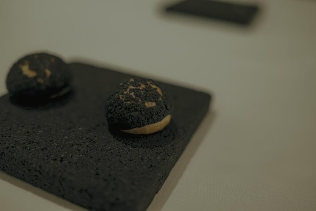 Alo *- Toronto Truffle Focused Dinner August 2024