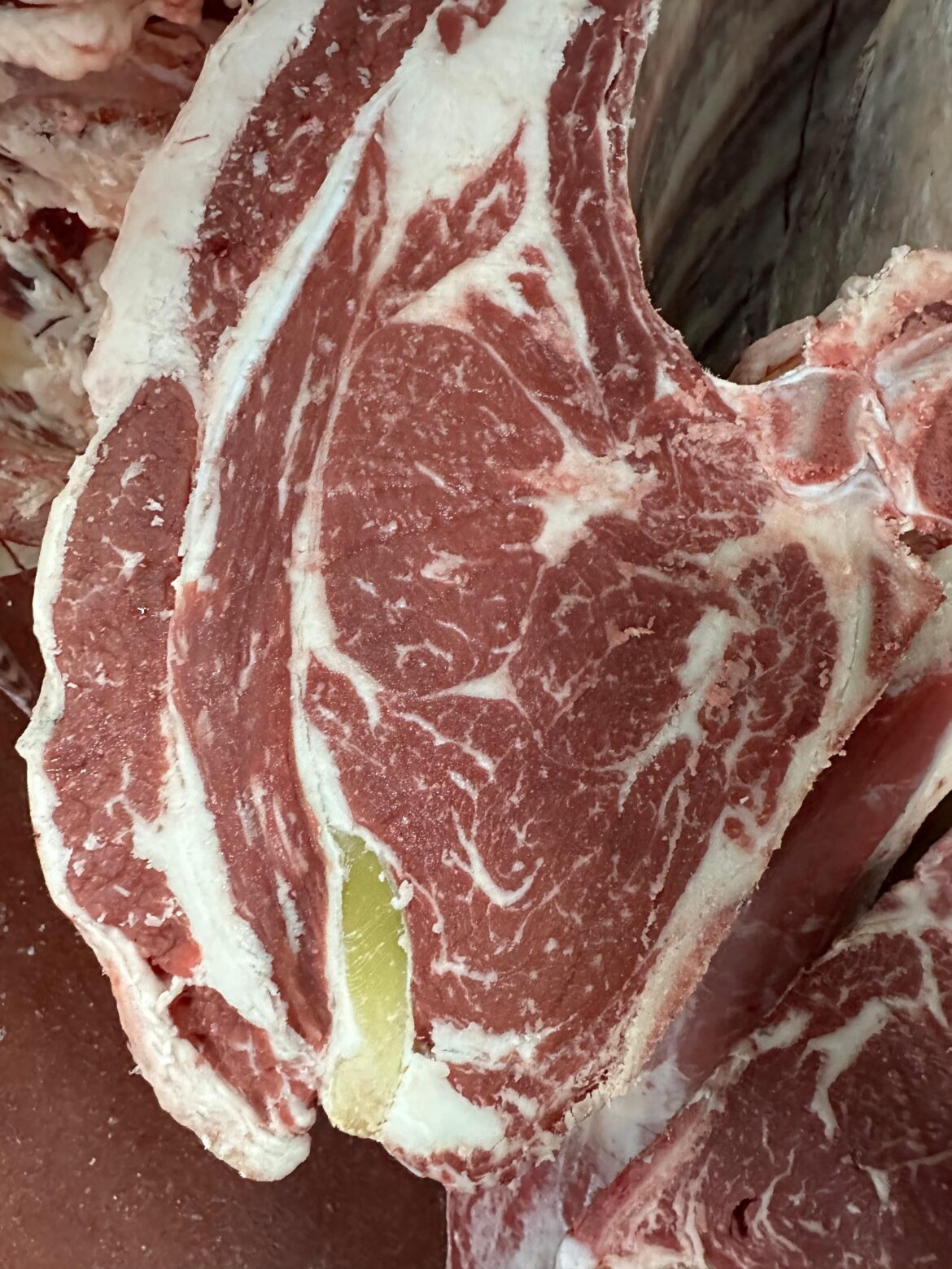 Our latest Angus that went to the butcher. Can’t say I’m not satisfied. Good marbling on the new feed.