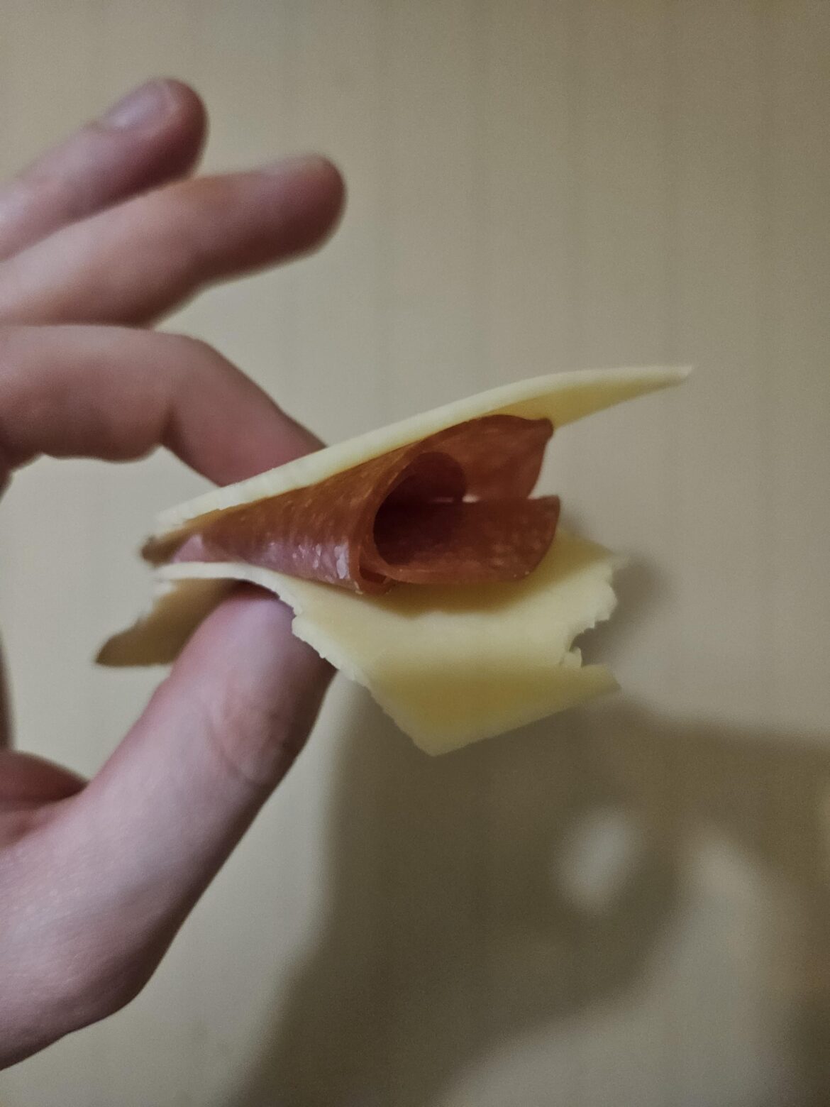 I present my Cheddar Salami Sandwich