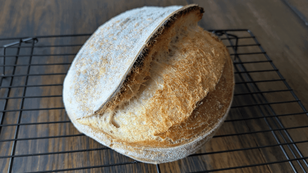 I love my wife's loaves 😉