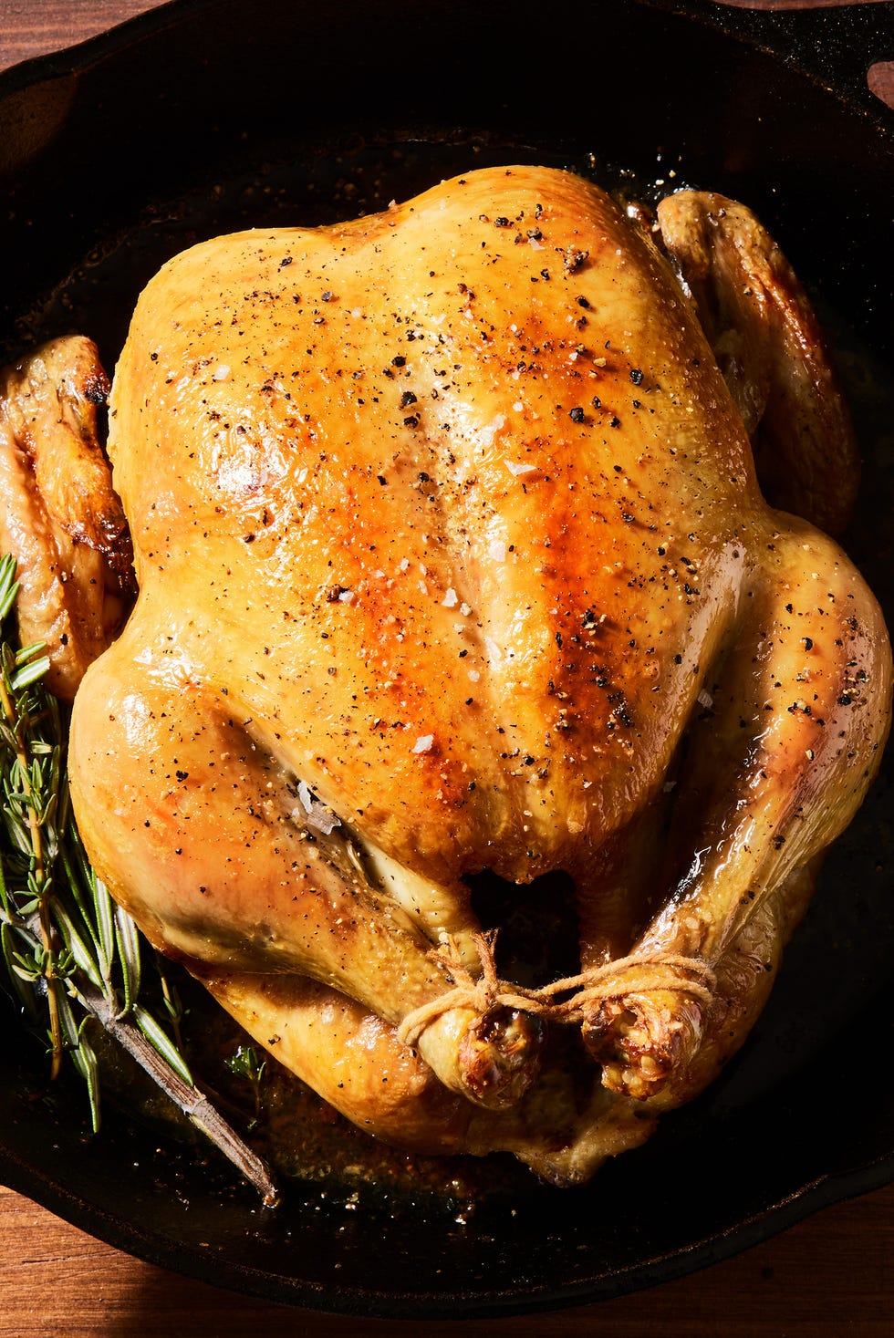 roast chicken tied in a skillet with rosemary