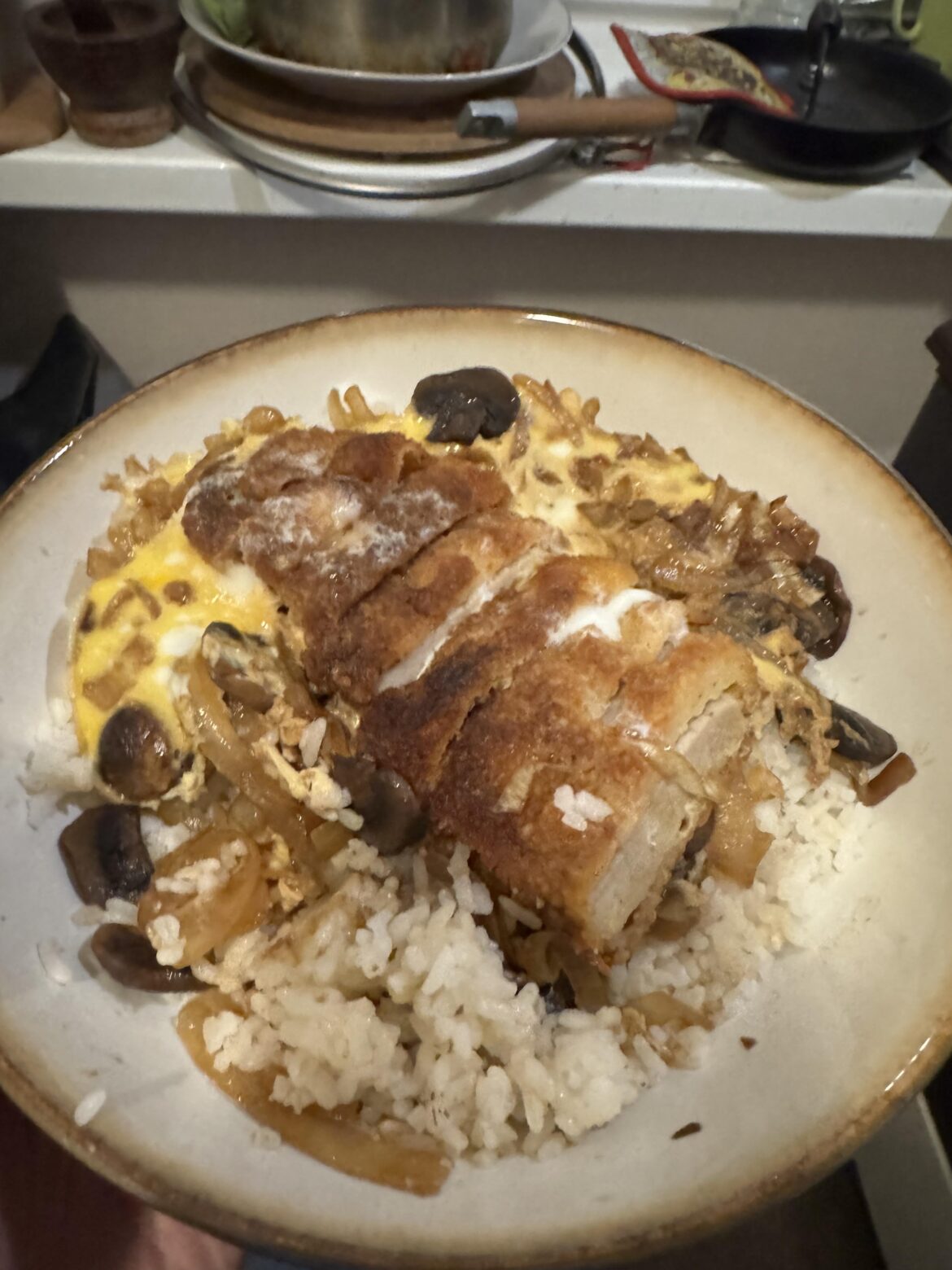 Katsudon tonight drunkees