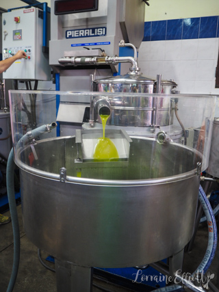 Scoglitti Sicily Wine Olive Oil