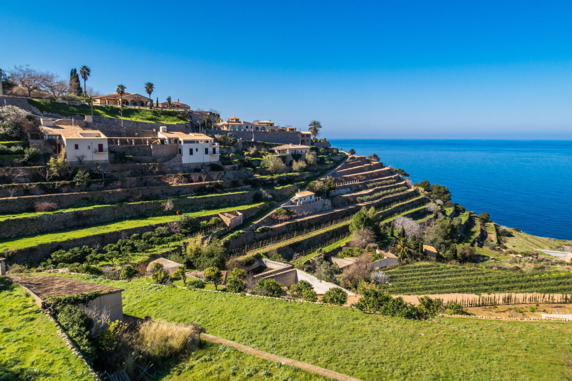 Mallorca & Wine: a travel guide for wine lovers