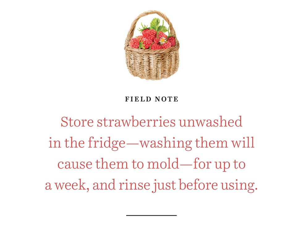 strawberries field note