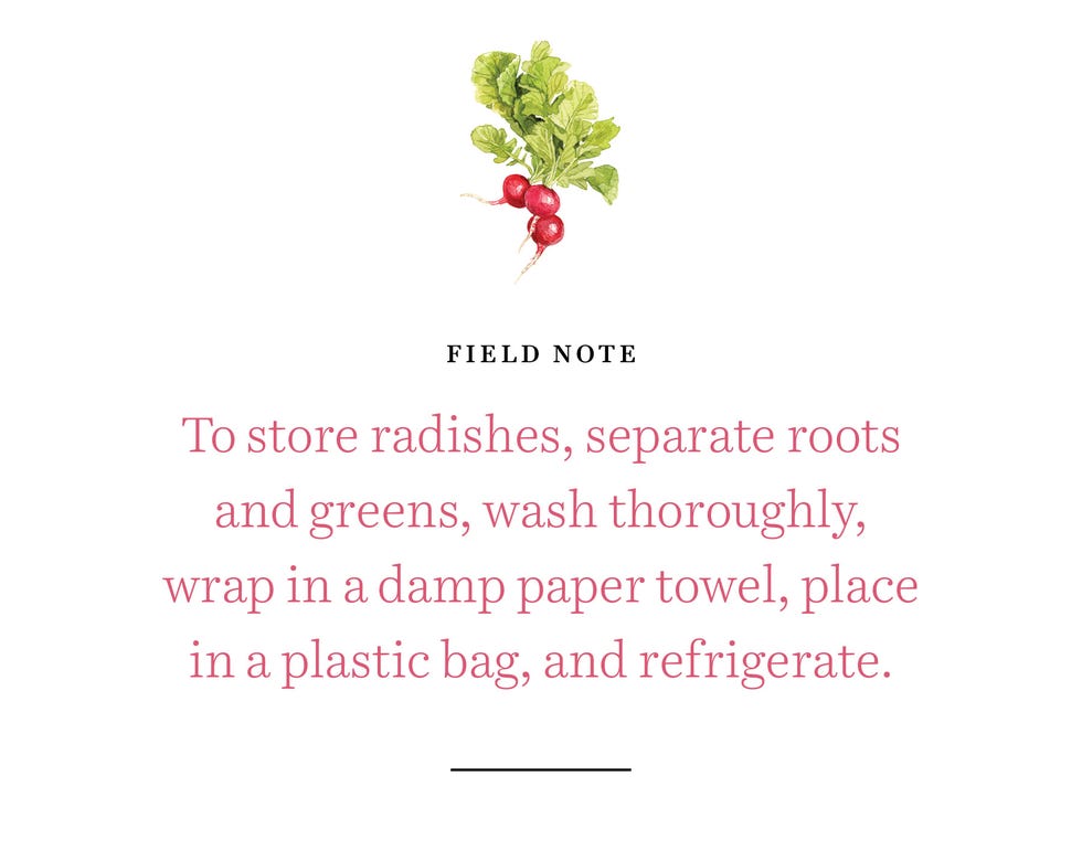radishes field note