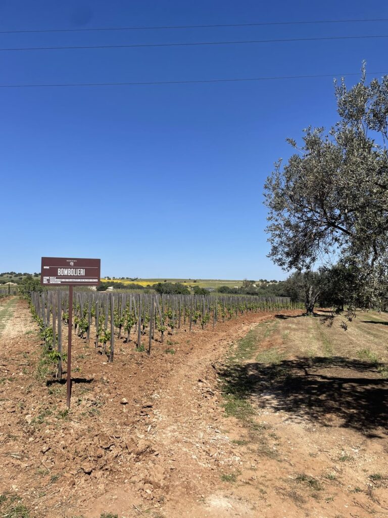 Taste and tour two of my favorite Sicilian vineyards
