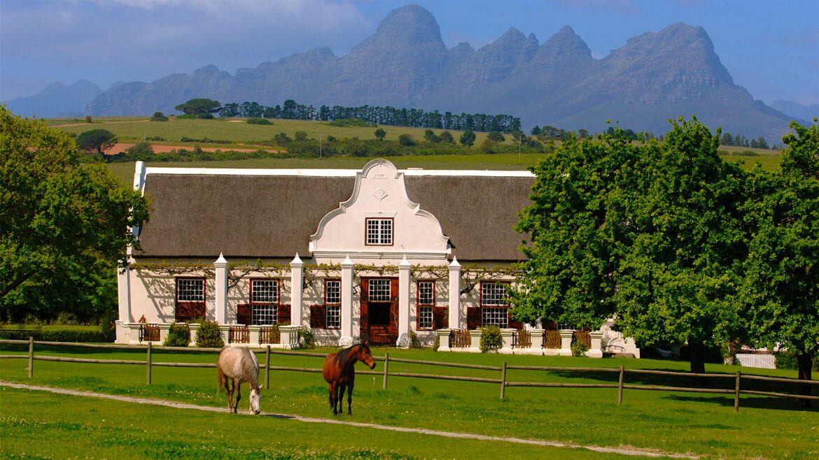 We Just Reviewed 9 Great South African Wines Priced as Low as $19