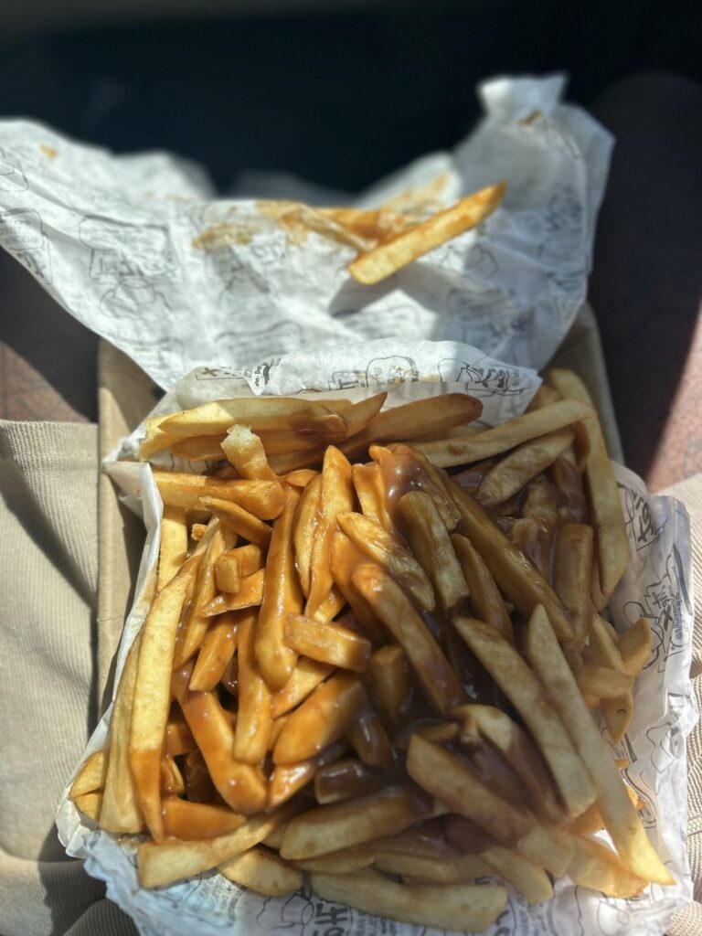 Pastrami Burger and Gravy Fries