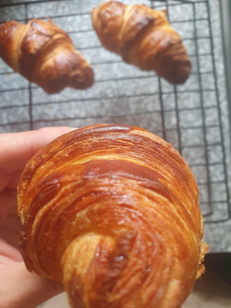 Homemade croissant