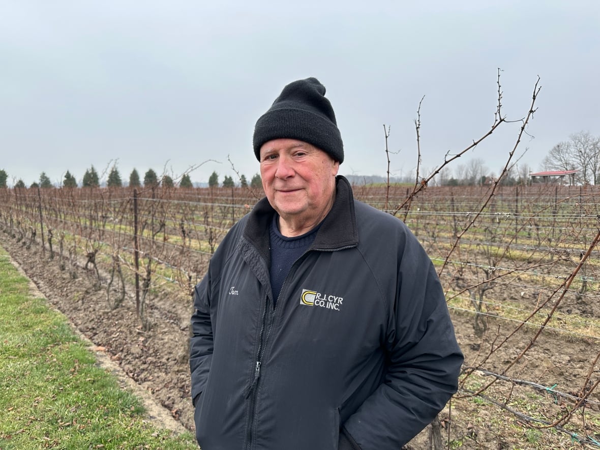 A man in a vineyard.