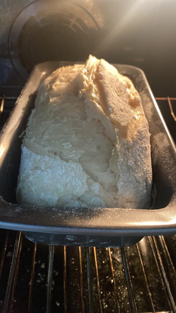 Just wanted to share my first loaf.