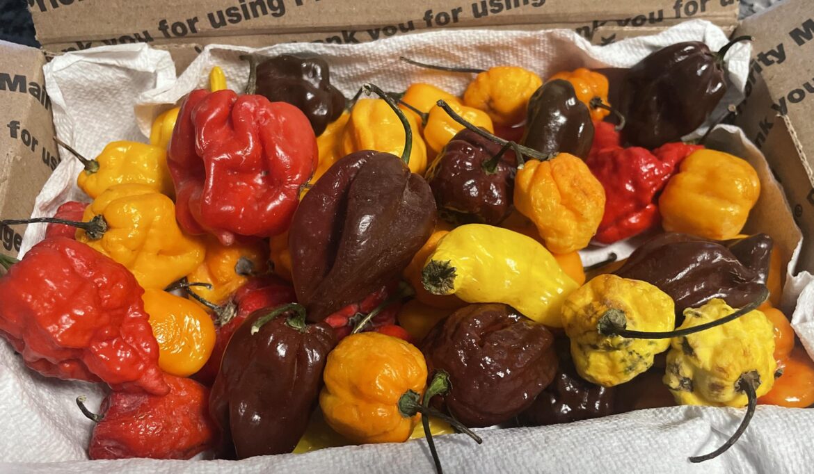 Trying new peppers Trying new peppers