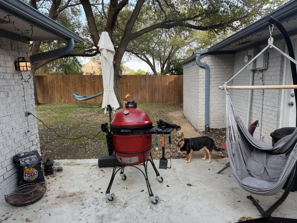 Finally have a back yard. Not sure who is enjoying it more, me or my dog.