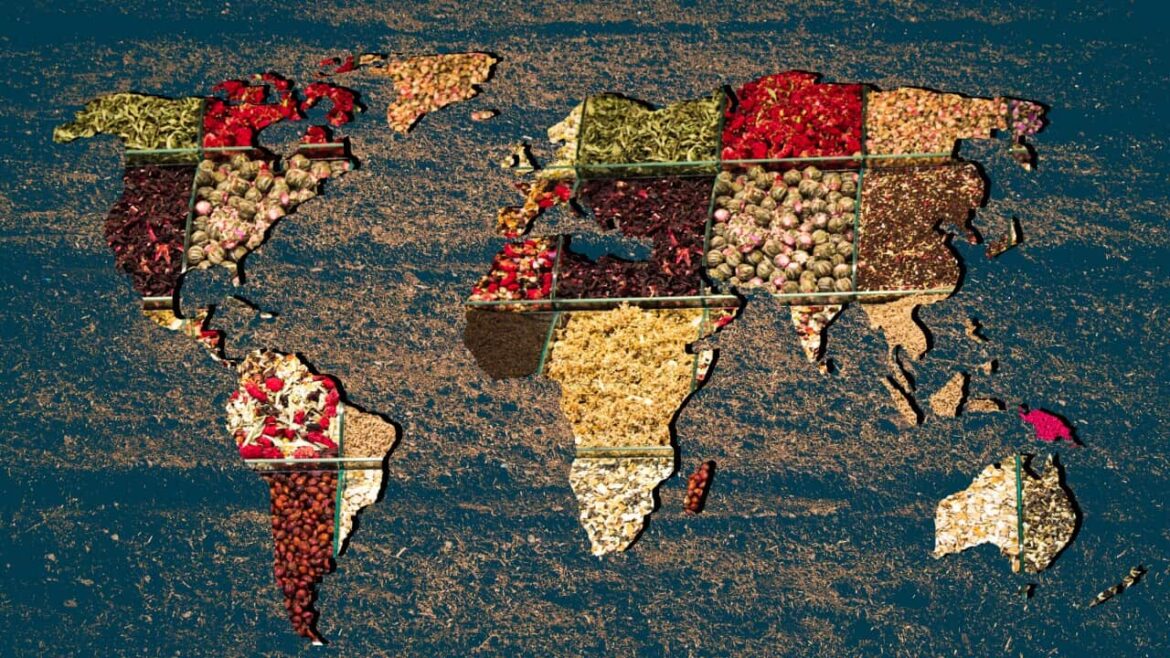 These 5 diets are rated as the best in the world for a healthy, long life All of the world's best diets have one thing in common: a dedication to eating minimally processed foods that haven’t been messed with.