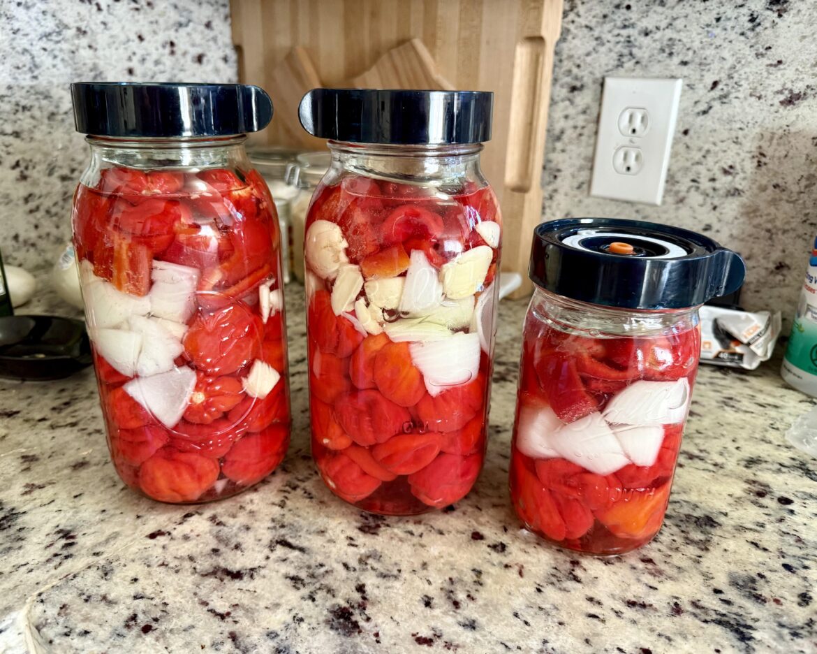 Here we go 40 day ferment coming up.