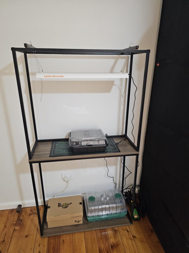 Made a new grow shelf out of unused tables. 🌱