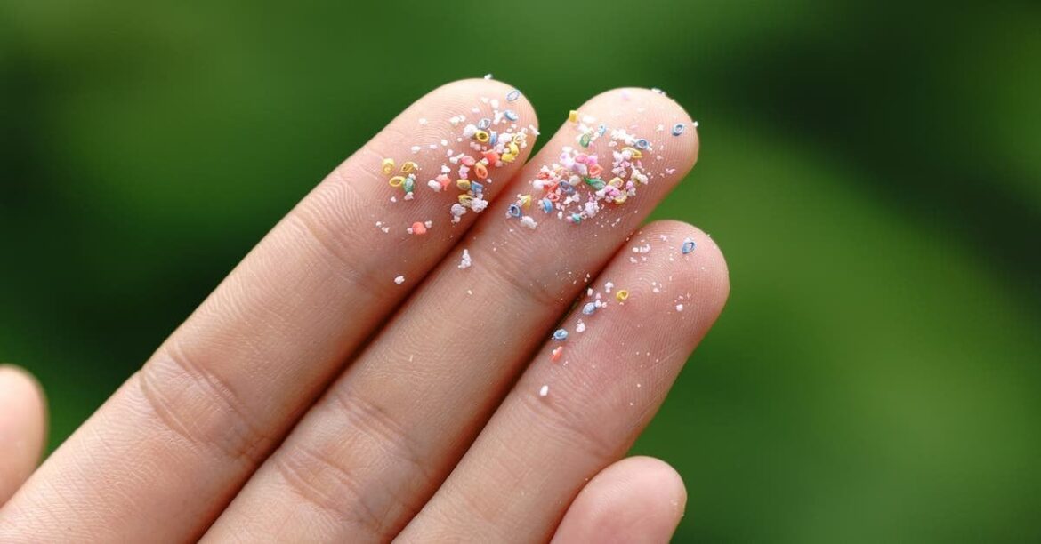 Minimizing microplastic ingestion