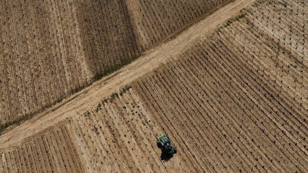 Faced with Trump's new tariff, French wine producers expect rough times ahead