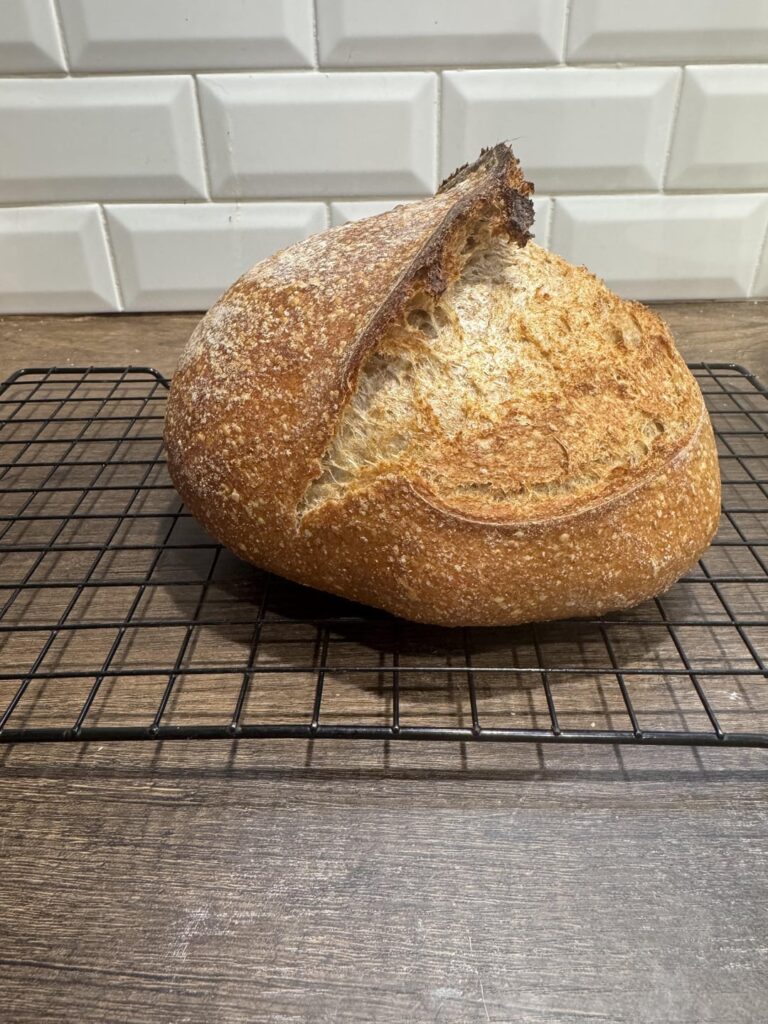 First whole wheat loaf! First whole wheat loaf!