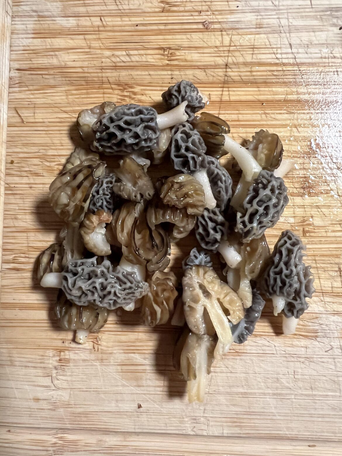 POV: I just dropped this bag of mushrooms to you. WYD?