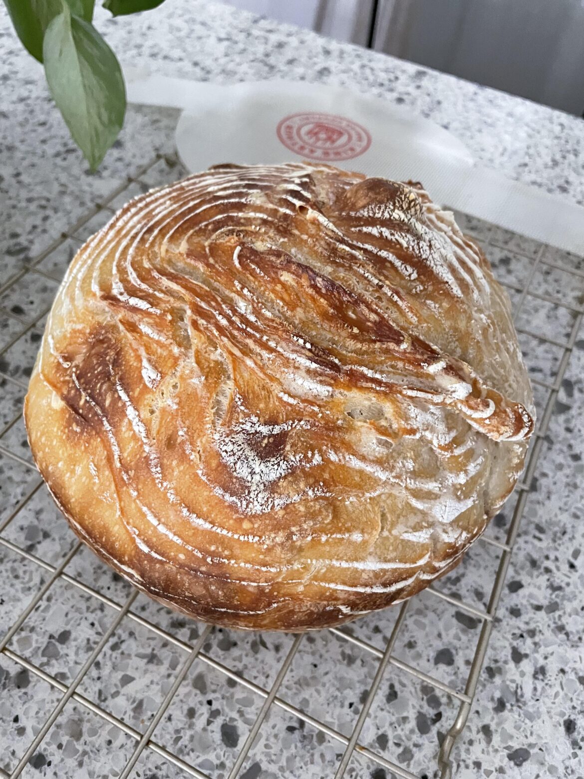 Check out this loaf! It’s called “I struggle to take the dough out of banneton”