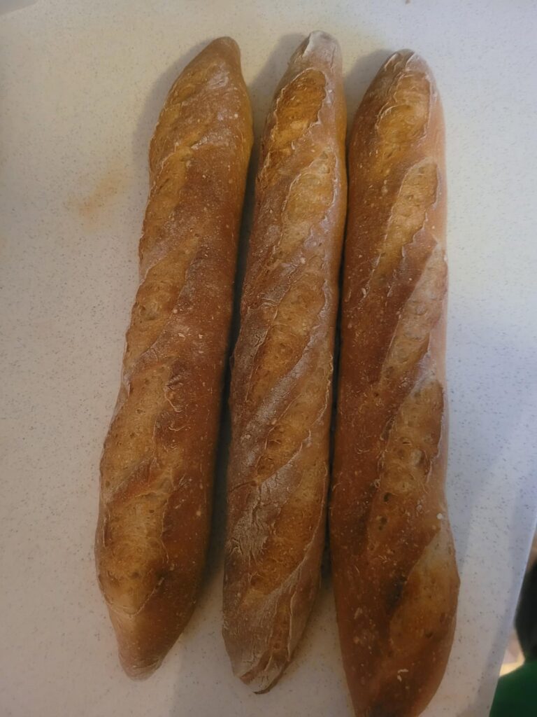 My gluten-free baguettes are really starting to come along