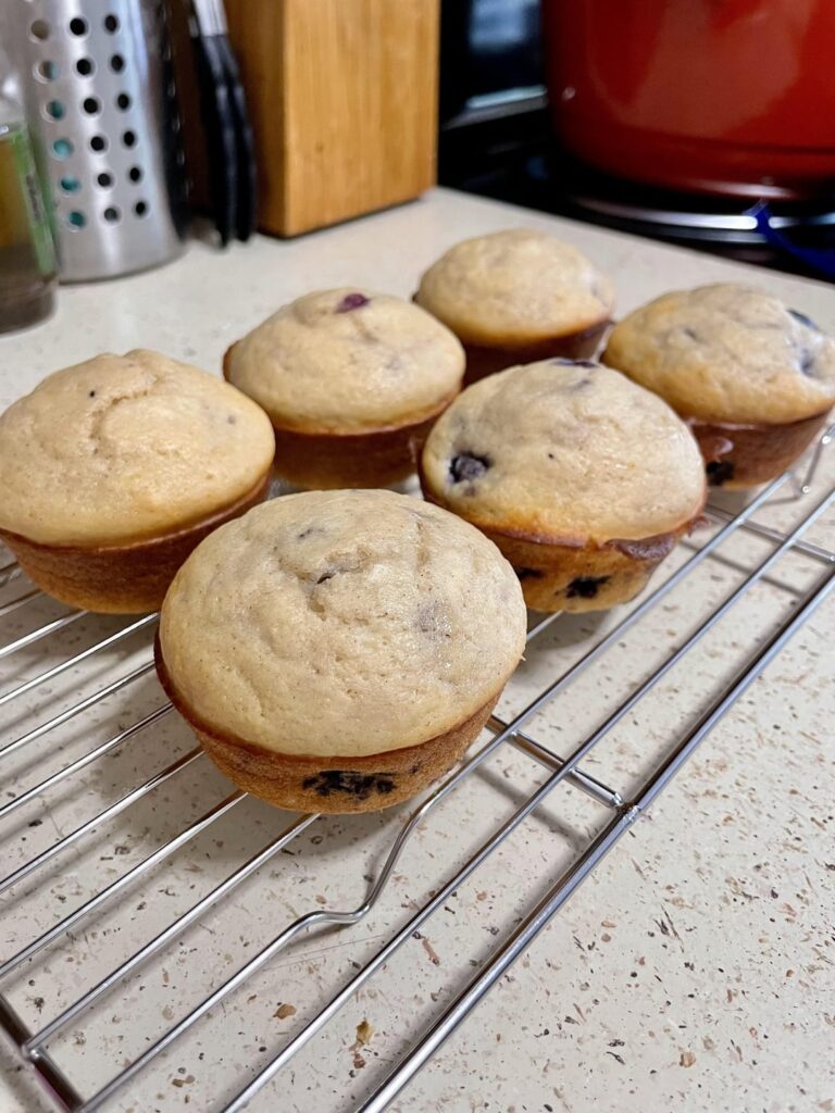 ~105calorie, ~6.5g protein blueberry muffin