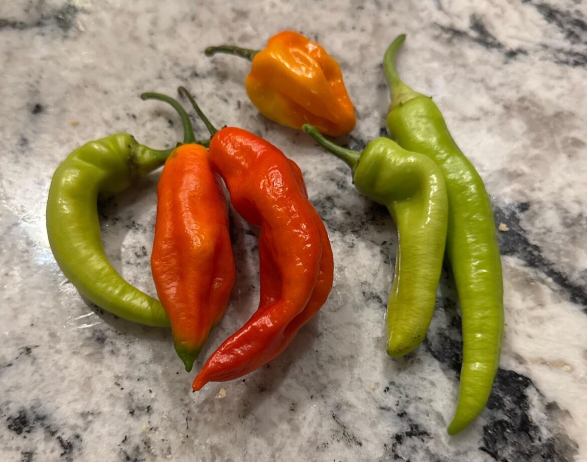 Not Much, but Something