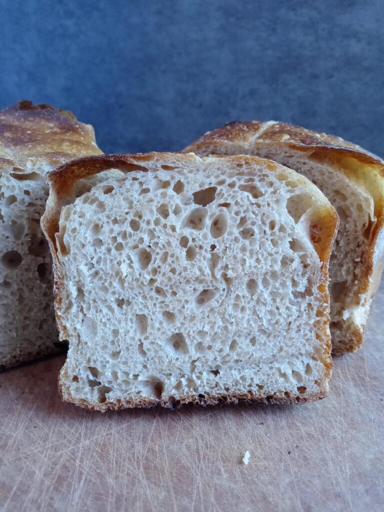 First time sourdough sandwich loaf