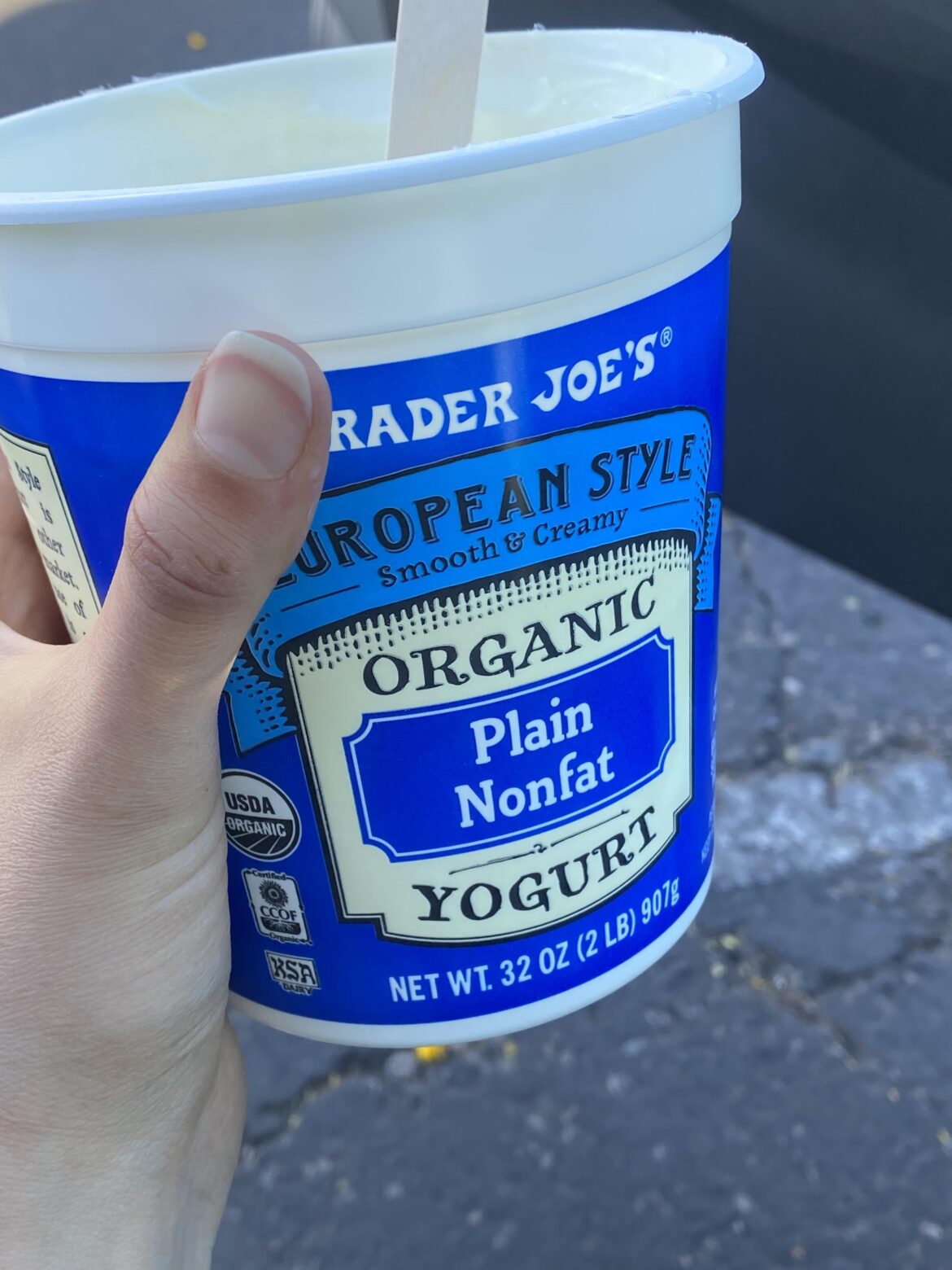 I just realized how much low fat yogurt you can eat for 500 calories