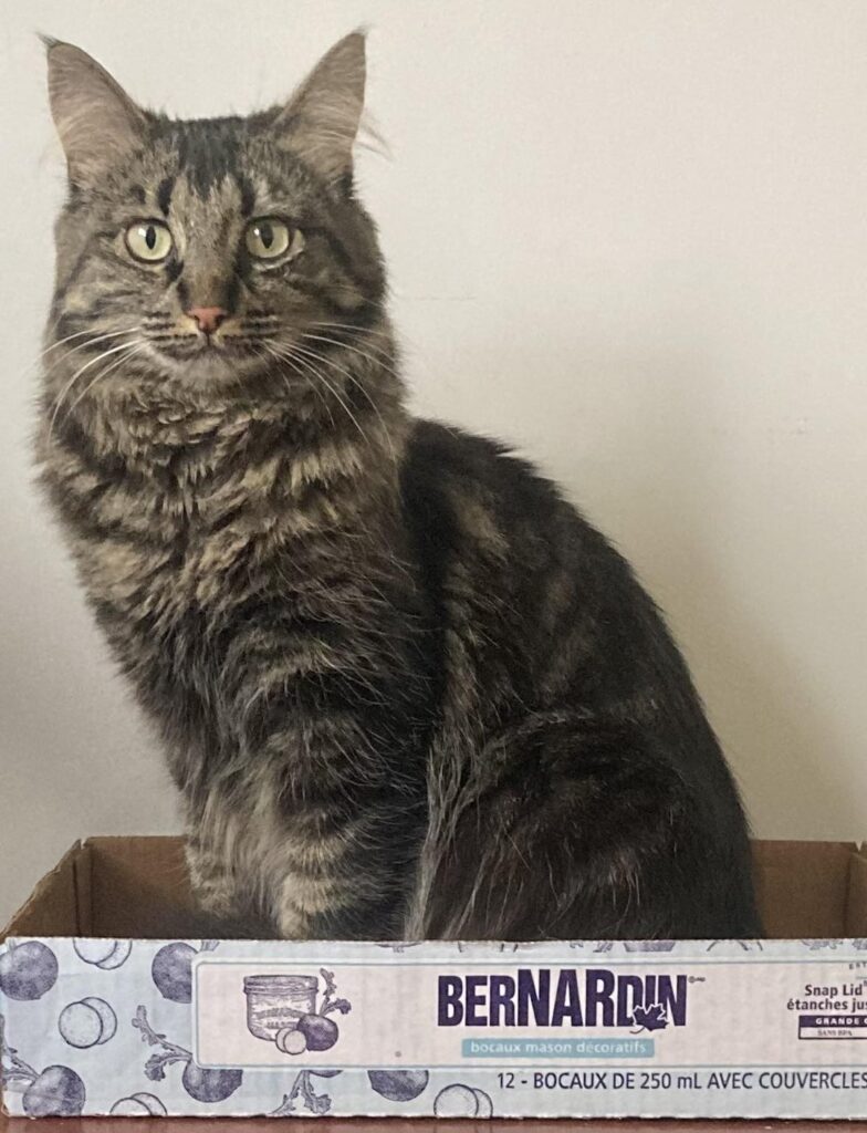 This cutie is forbidden canning