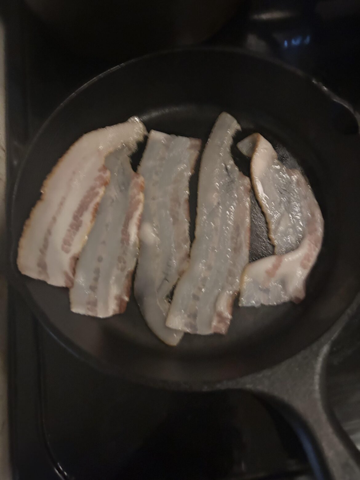 This bacon I cooked this morning