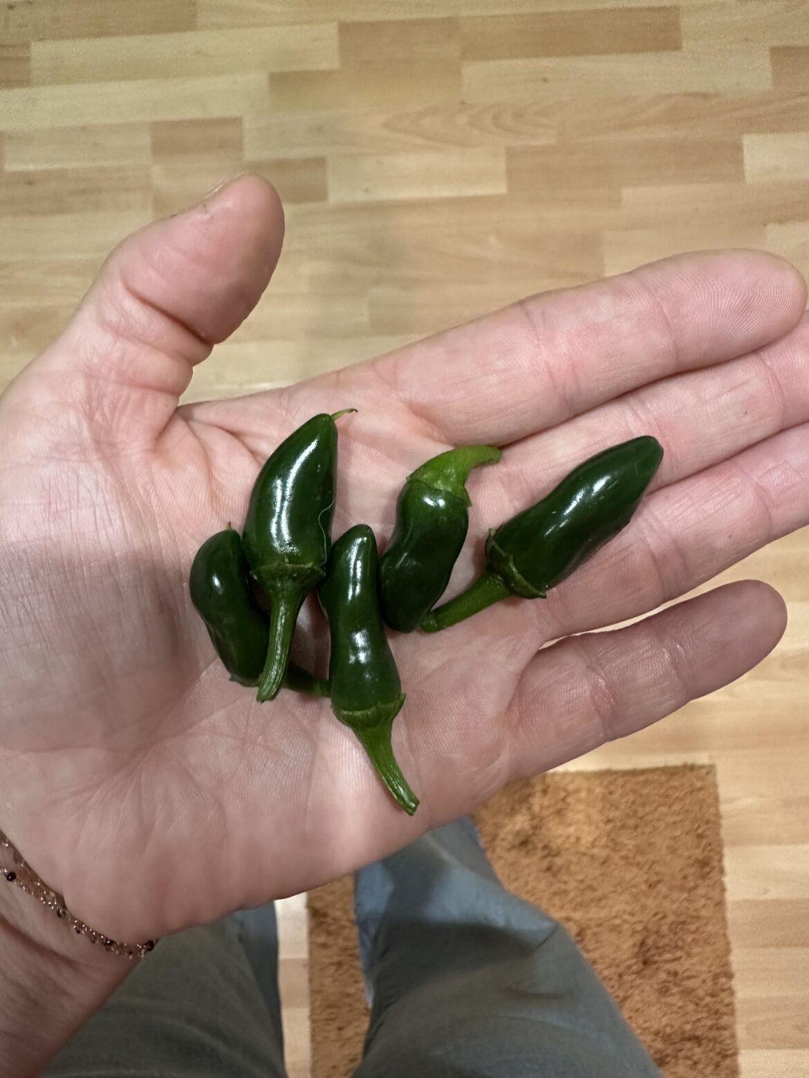 What kind of chilis are these?