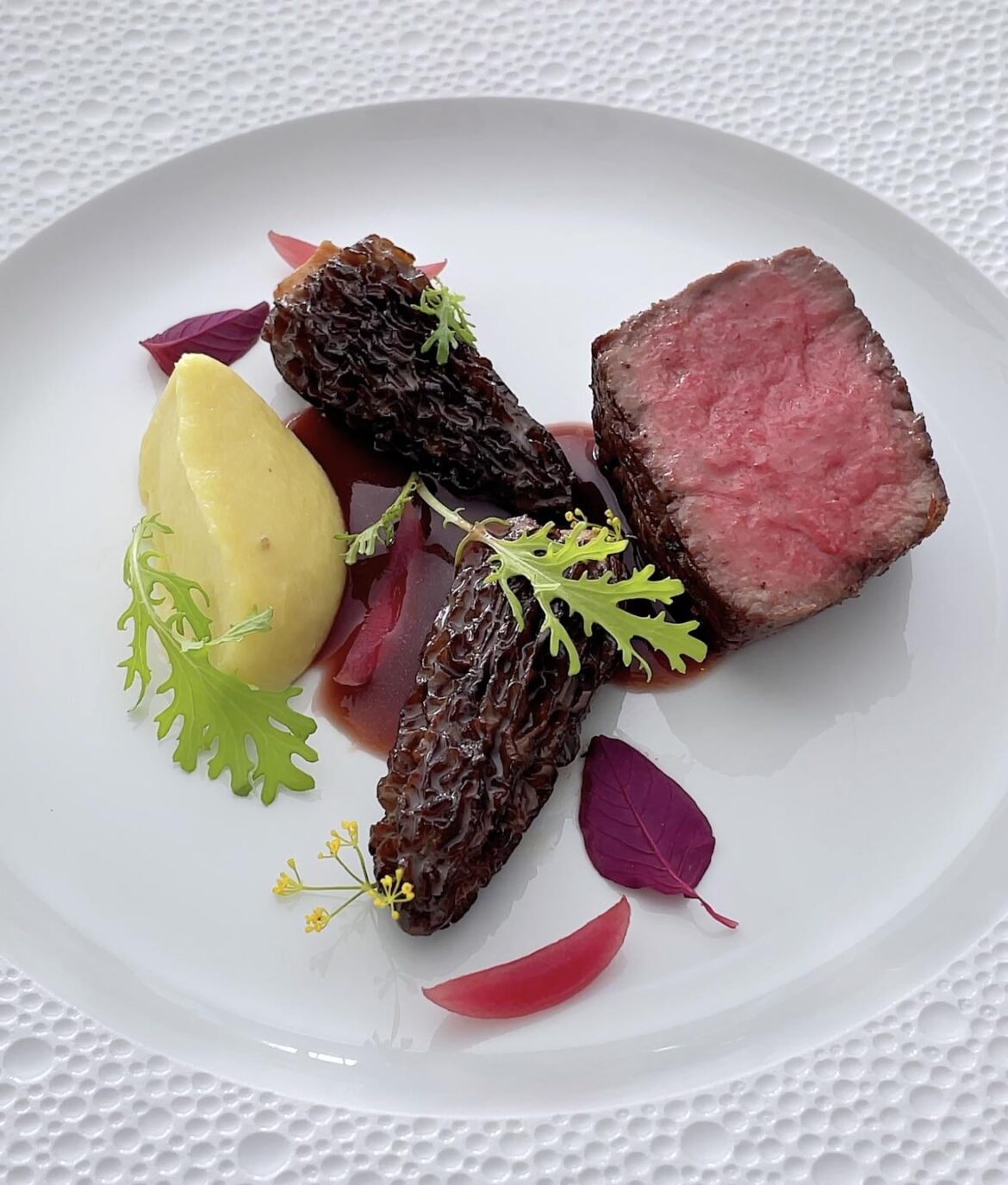 Filet Mignon with Morel Mushrooms, Sweet Potato Puree, Pickled Red Onions & Red Wine Sauce