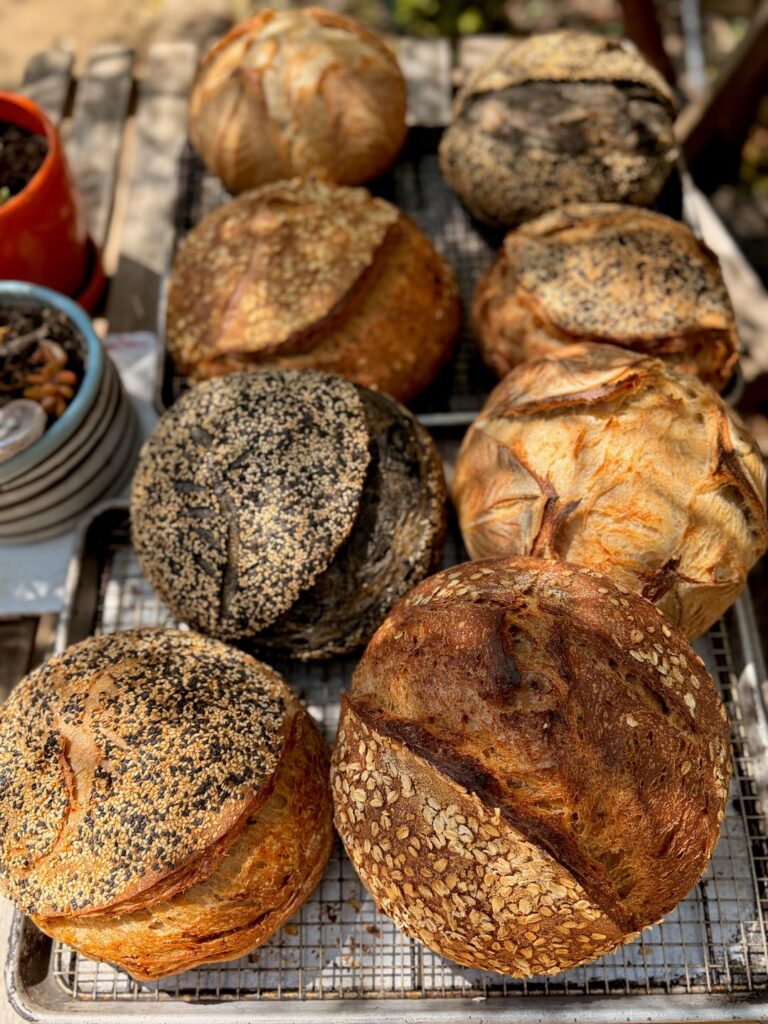 New batch of unique flavors this week!