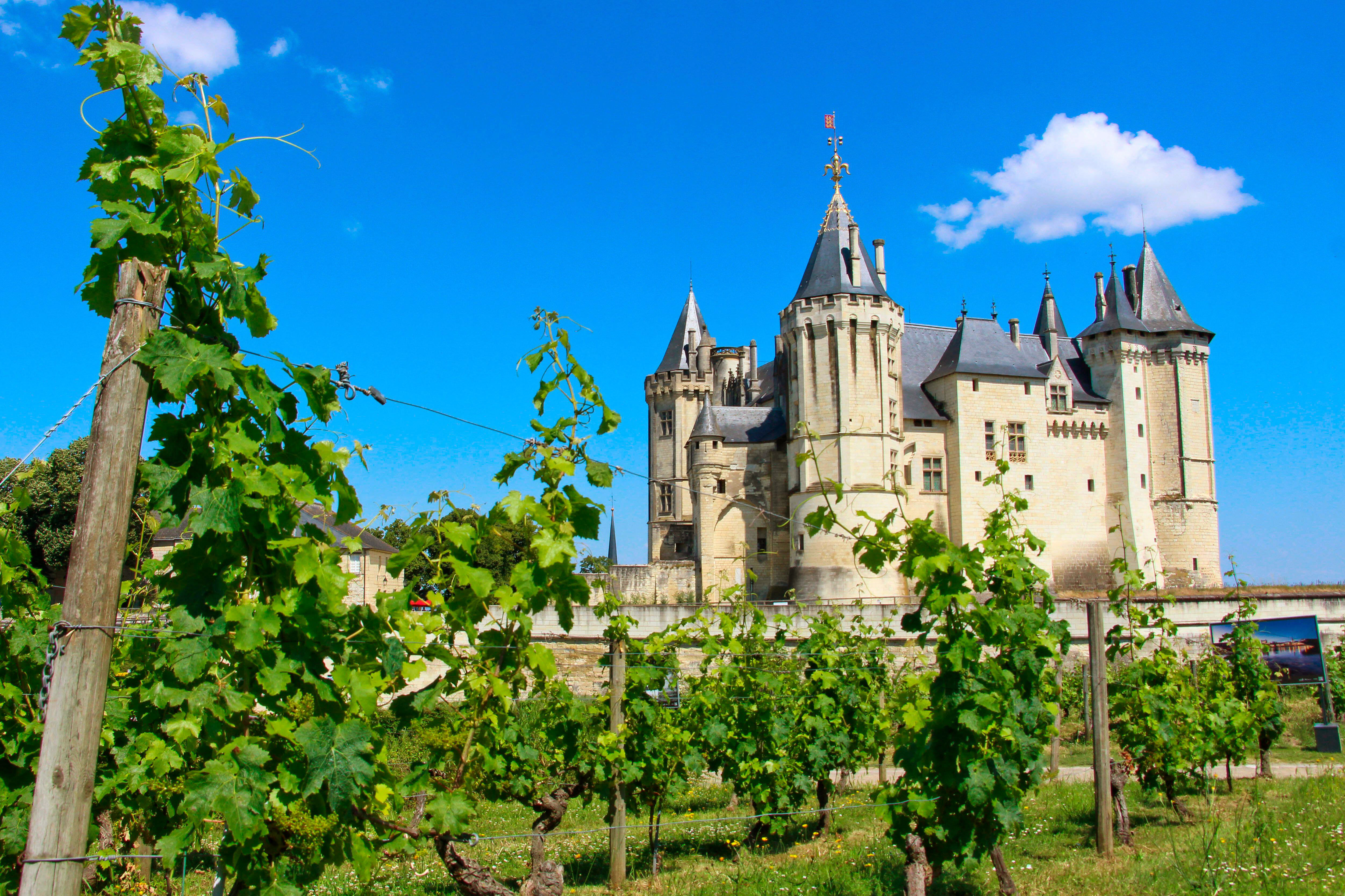 Château de Saumur vineyard in the Loire Valley, France