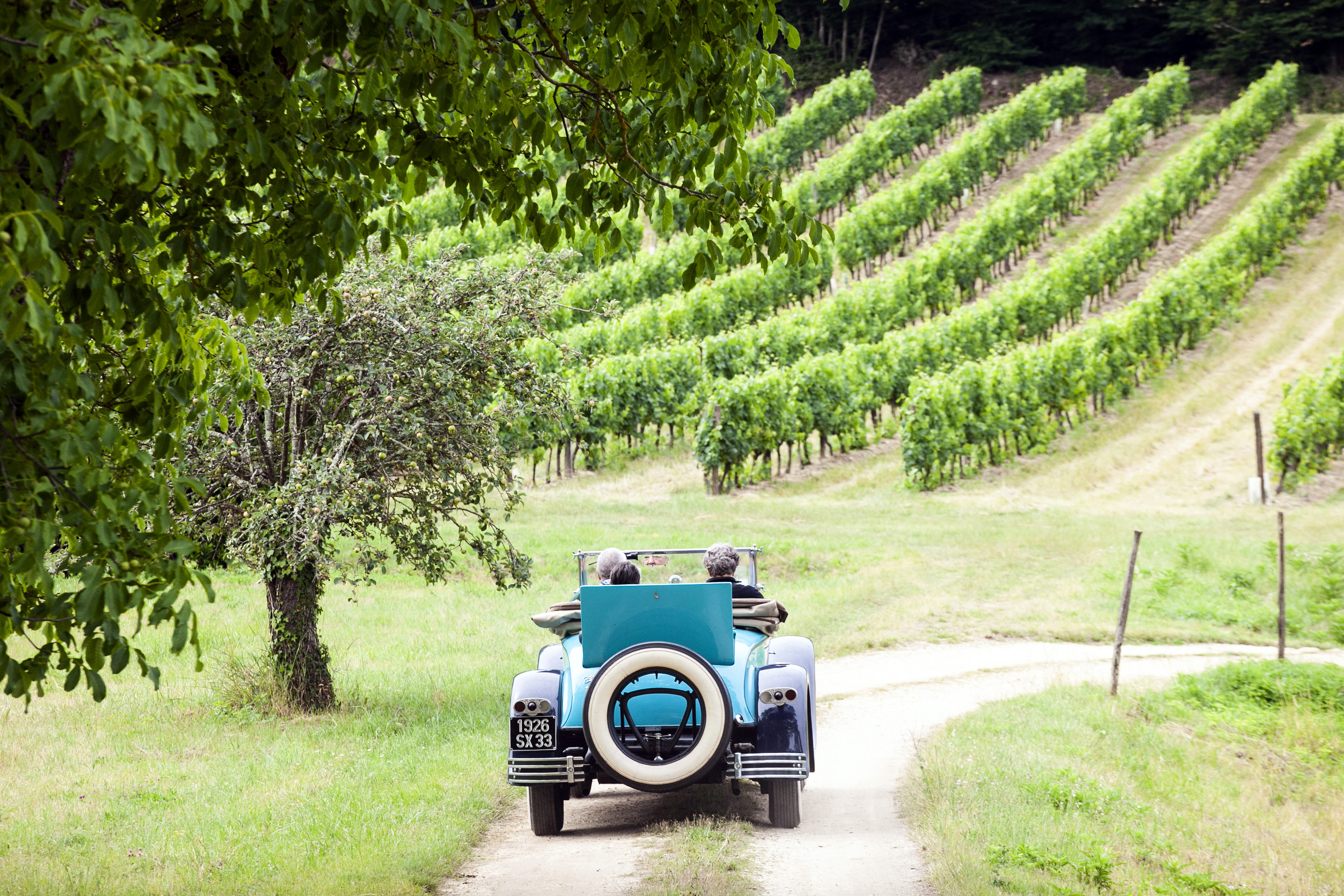 Visitors in a vintage car driving through a vineyard in Bordeaux, France