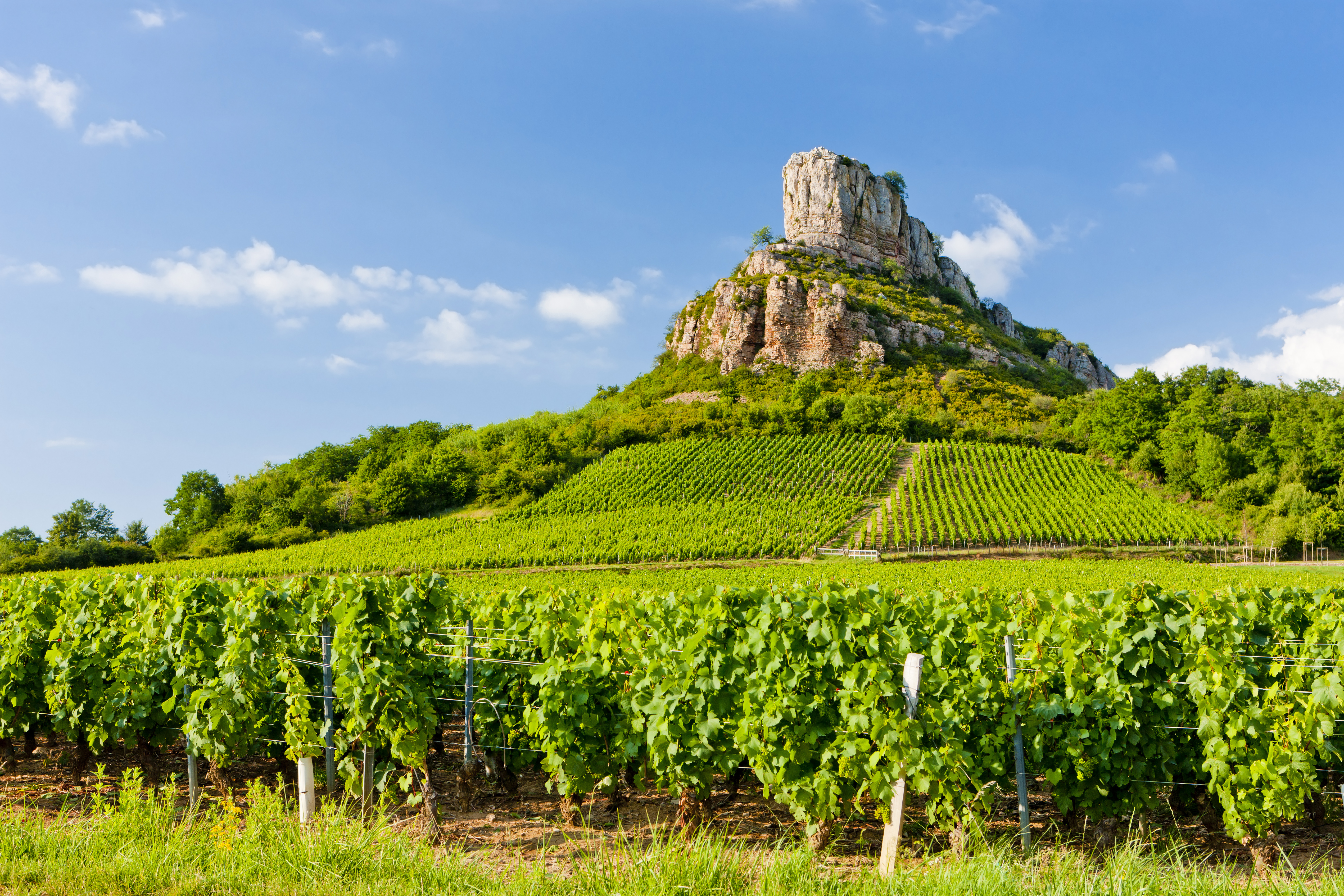 The Rock of Solutré overlooking vineyards in Burgundy, France