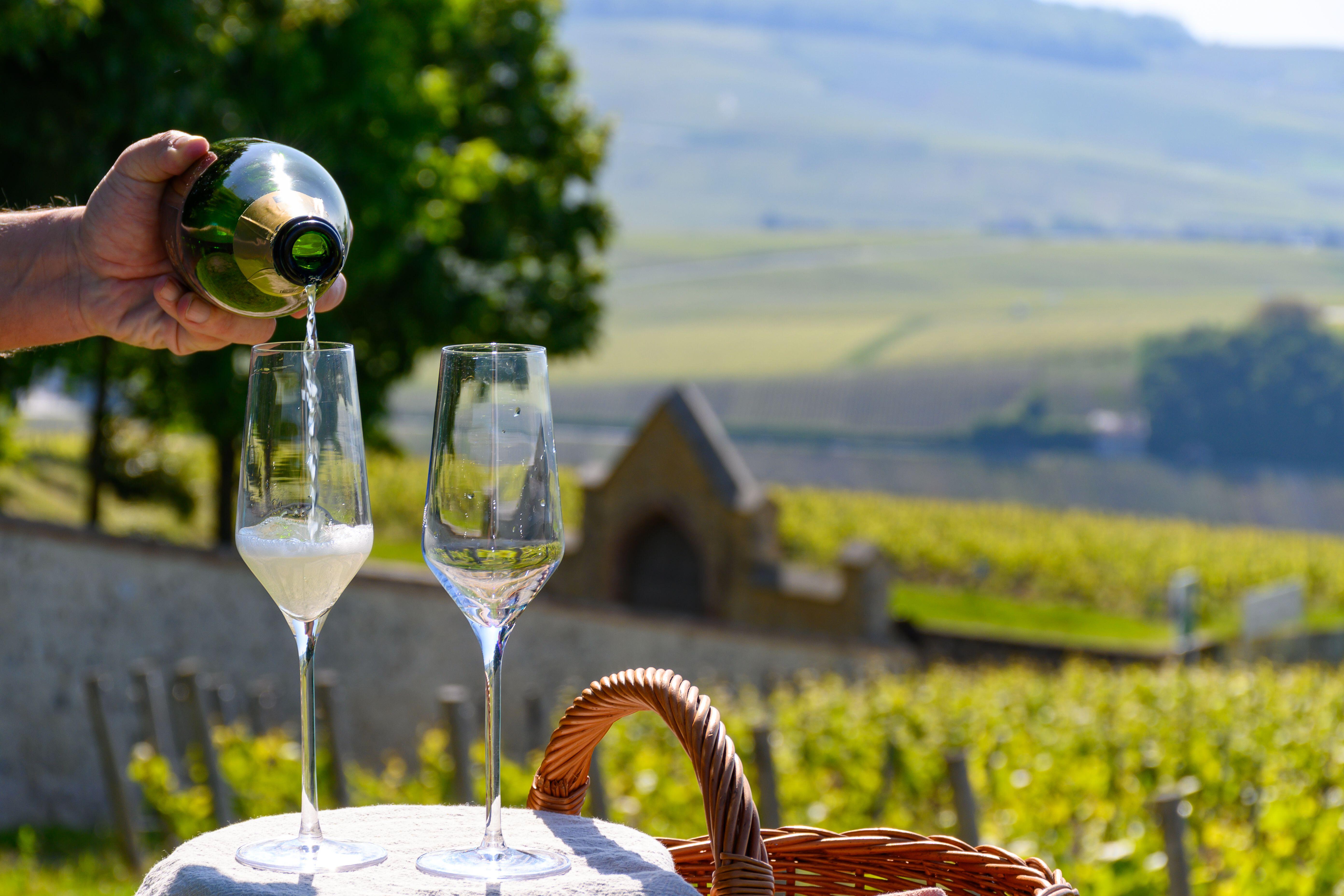 Champagne is poured in a vineyard in Hautvillers, Champagne, France