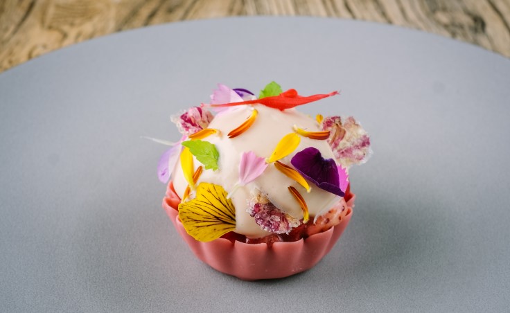 Allium at Askham Hall, Cumbria (© Steven Barber)